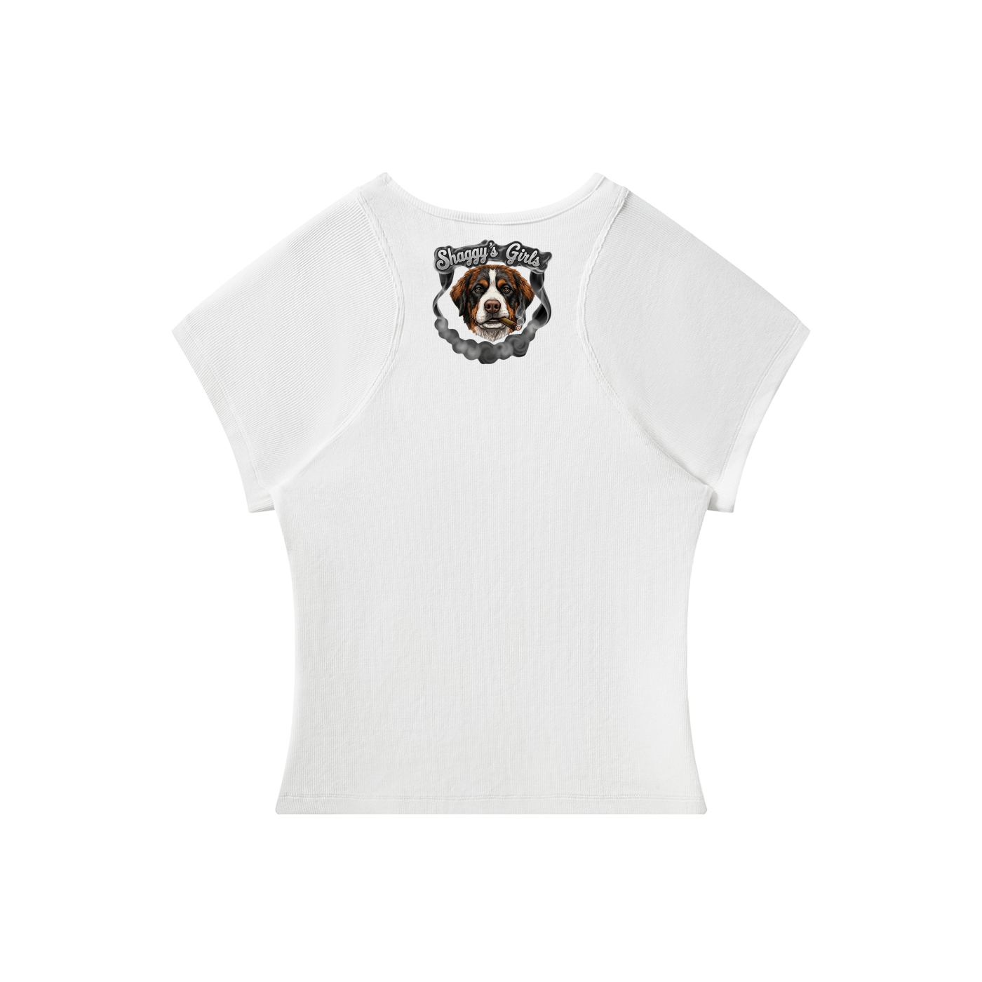 Shaggy's Slim Fit Paneling T-Shirt